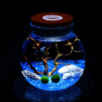 11 CM Borcan de Sticla Rotund Terariu cu Lumina LED-uri Colorate Plută Micro Peisaj Ecologic Sticla Lumini de Noapte